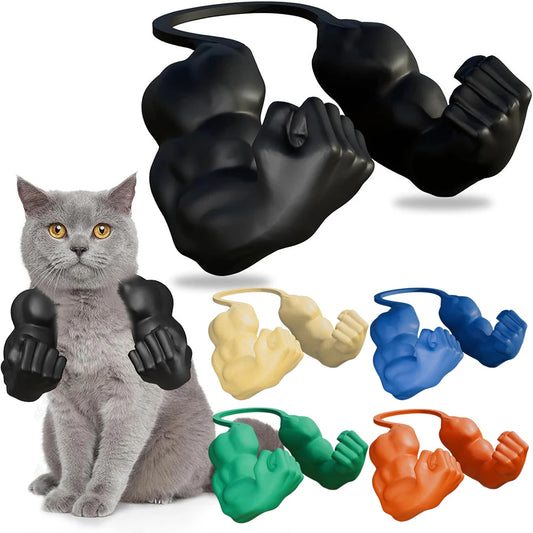 Cat Muscle Arms