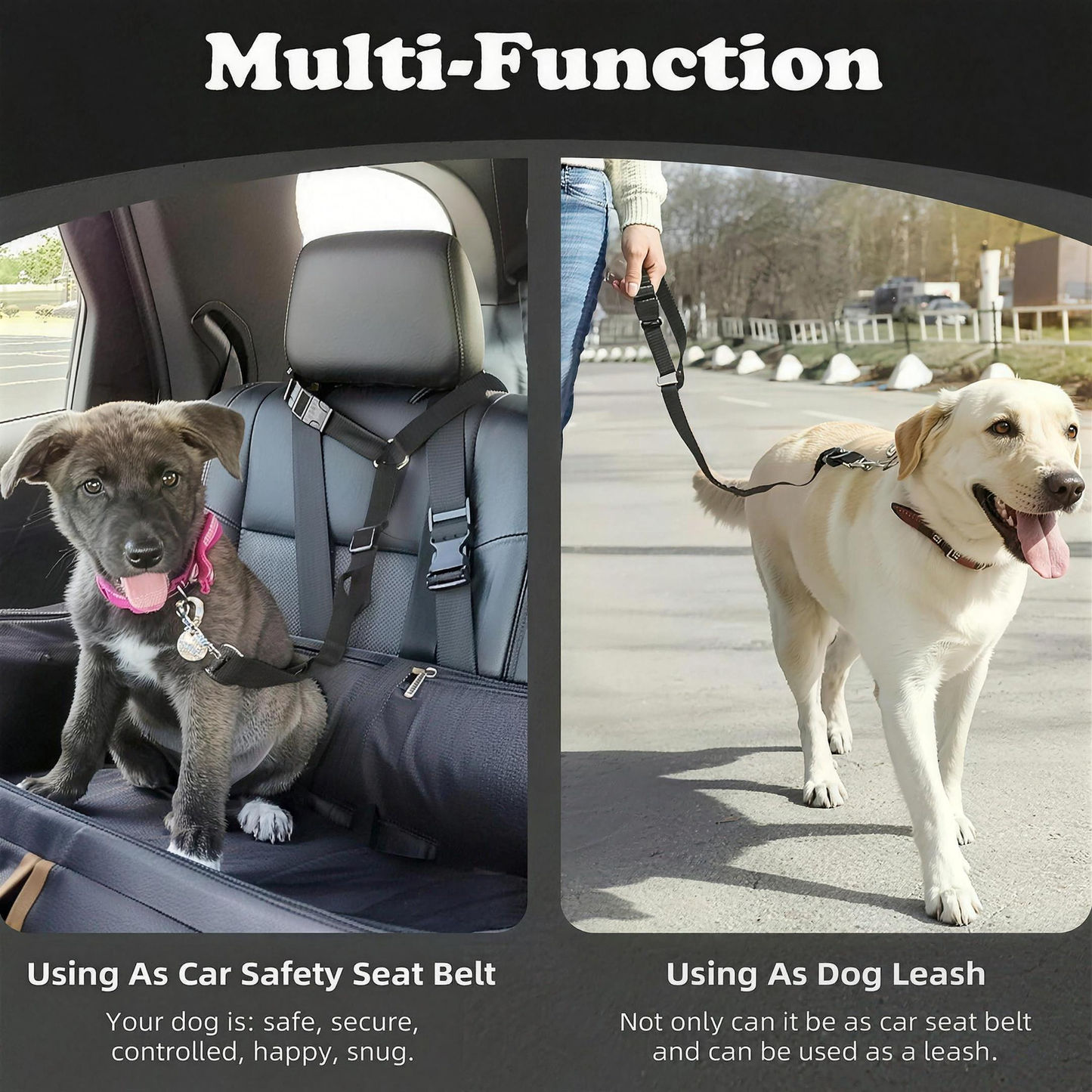 Adjustable dog car seat belt safety restraint — view 3