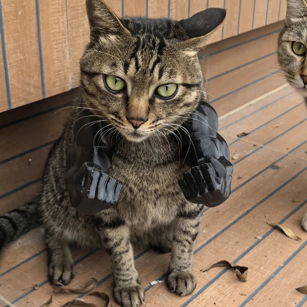 Funny muscle arms costume accessory for cats — view 5